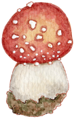 Ilustração autoral de cogumelo